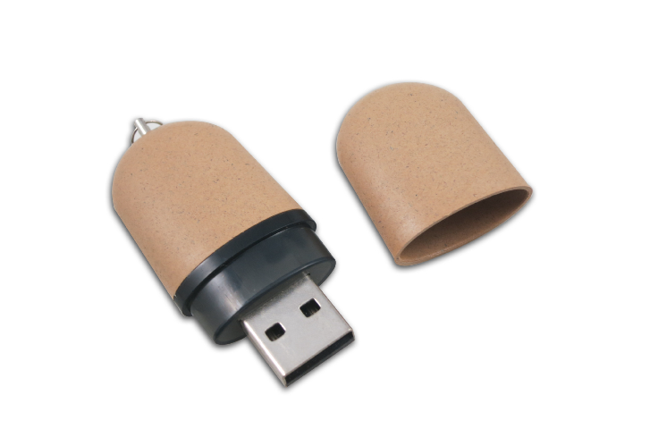 USB Flash Drives